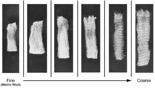 merino wool grade merino wool grade